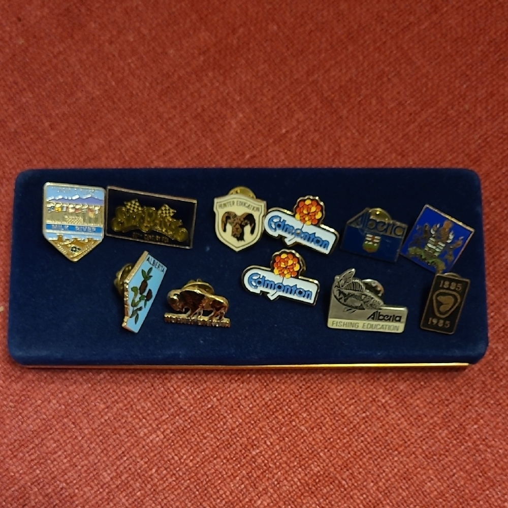 Vintage Pin Collection 17 In Total. - Picture 2 of 8